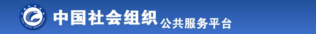 抽插啊啊全国社会组织信息查询